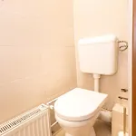 New White Unirii Apartament *